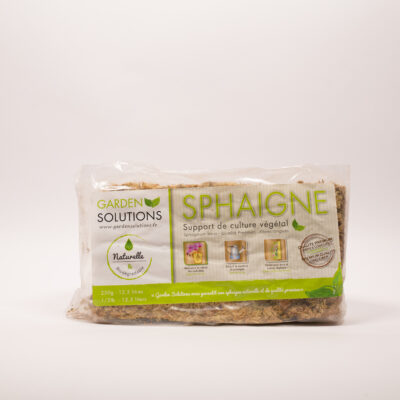 Sphaigne