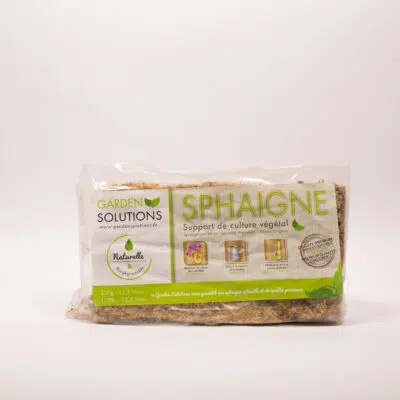 Sphaigne