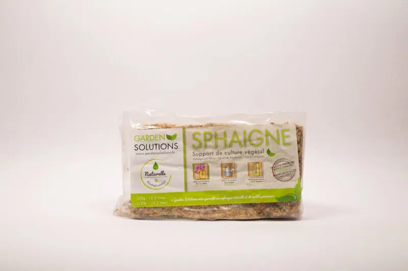 Sphaigne