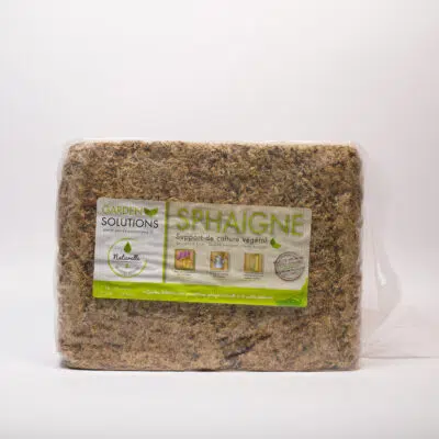 Sphaigne