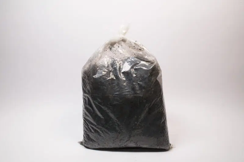 Ketoh