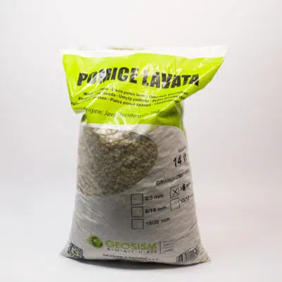 Pumice