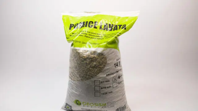 Pumice